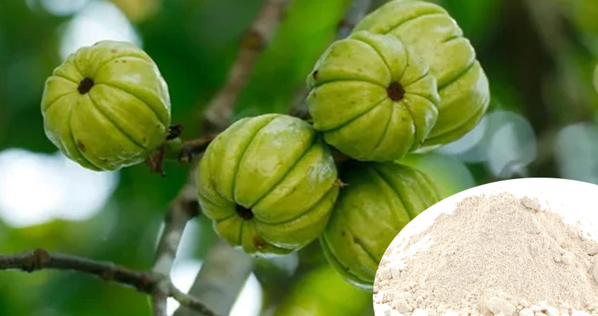 Garcinia Cambogia Extract