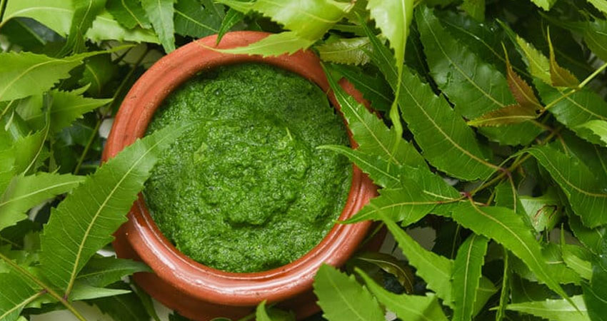 Neem Extract