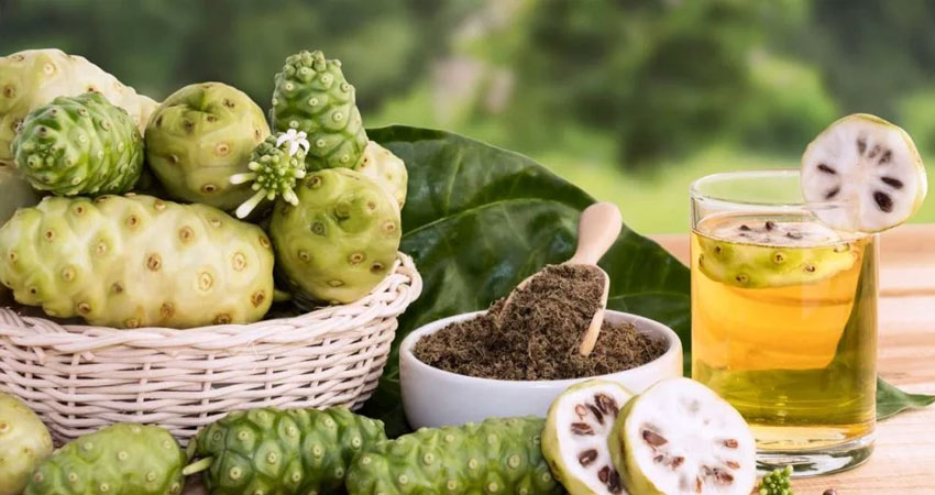 Noni Extract
