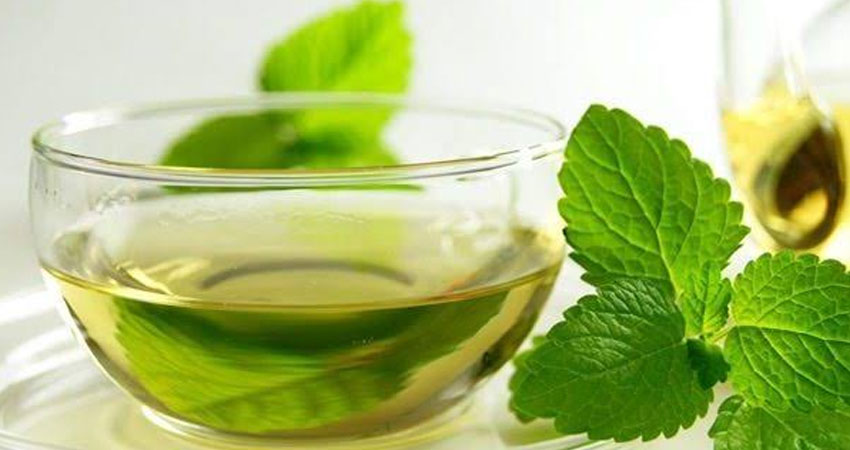Tulsi Extract